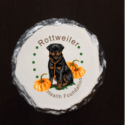 4" Slate Fall Coaster Thumbnail